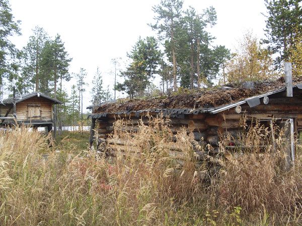 Зимний домик, ковыль.jpg