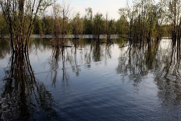 photo_2024-08-30_09-29-37 (2).jpg