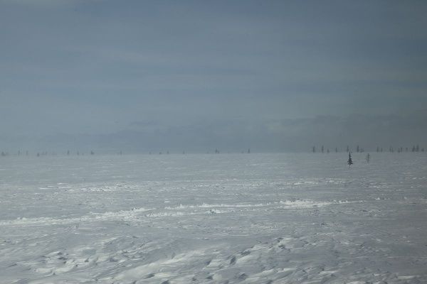 IMG_0323.JPG
