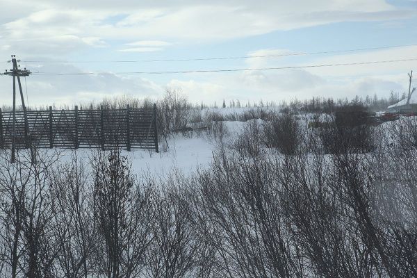 IMG_0334.JPG
