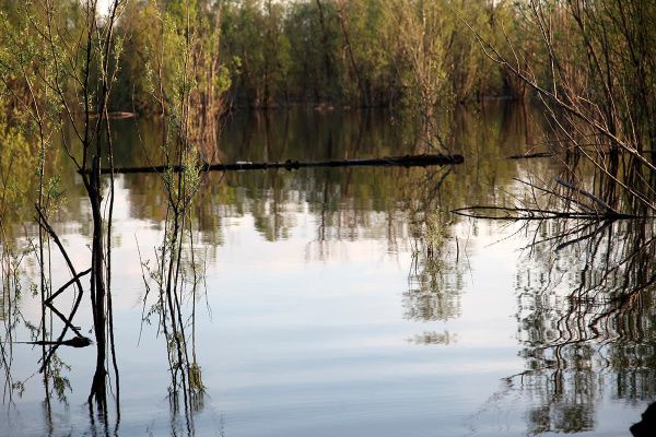 photo_2024-08-30_09-29-24 (2).jpg