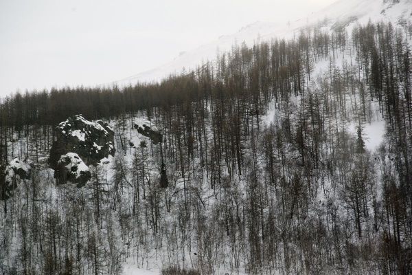 IMG_0516.JPG