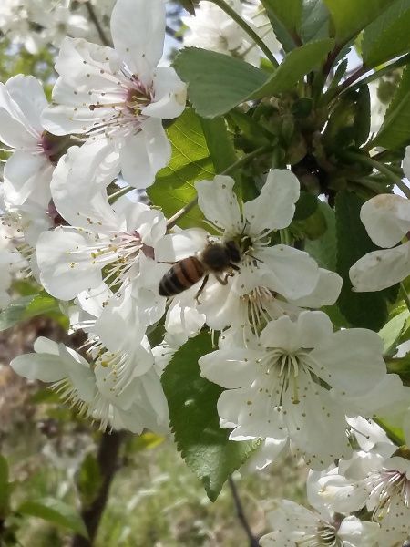 20170501_145516.jpg