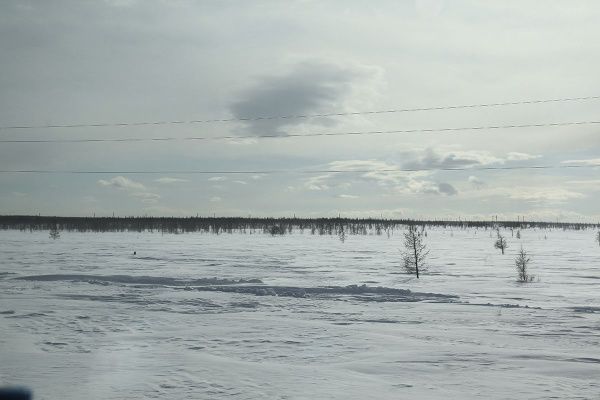 IMG_0322.JPG