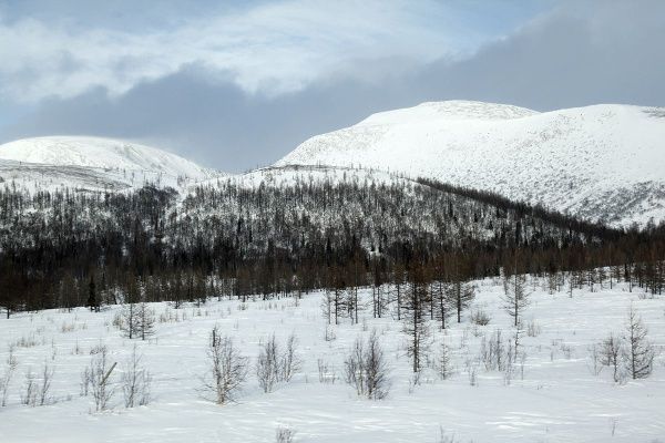 IMG_0508.JPG