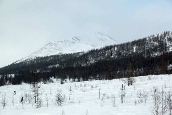 IMG_0507.JPG