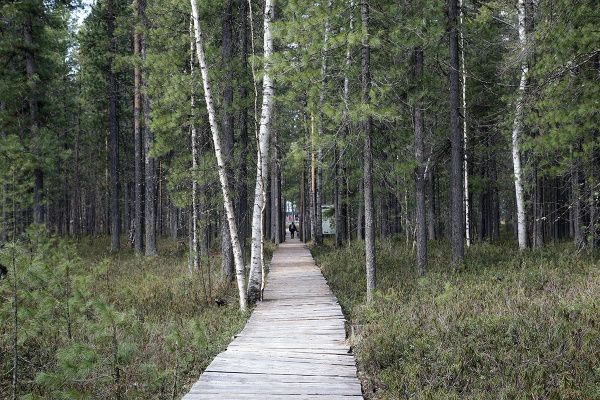_MG_1333.JPG