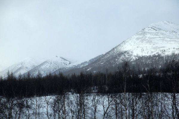 IMG_0513.JPG