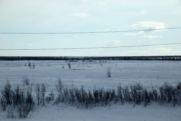 IMG_0344.JPG