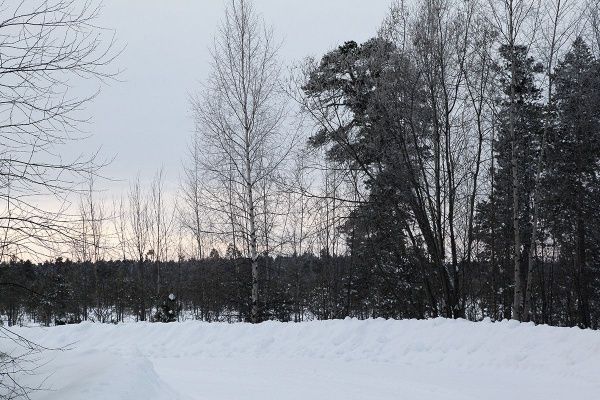 _MG_9571.JPG