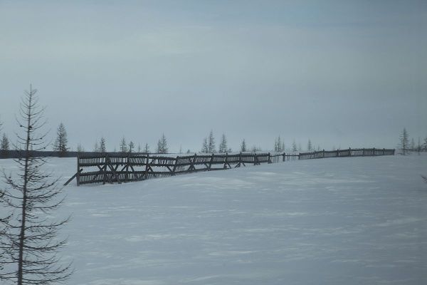 IMG_0393.JPG