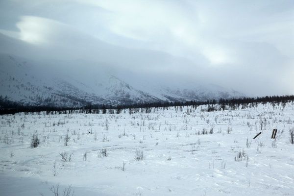 IMG_0510.JPG
