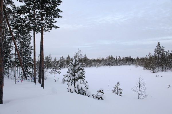 _MG_9578.JPG