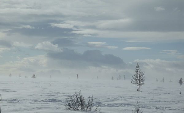 IMG_0327.JPG