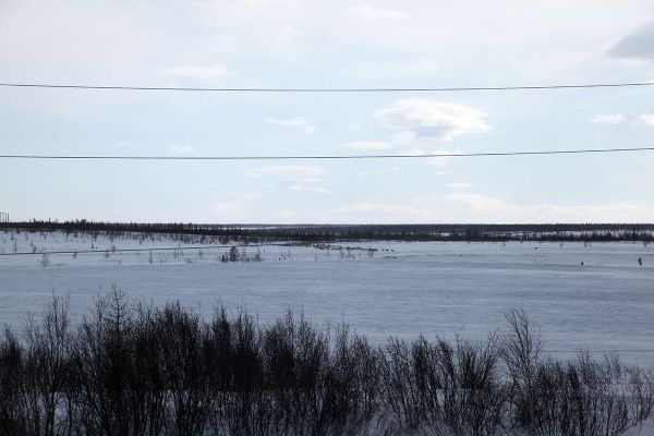 IMG_0339.JPG