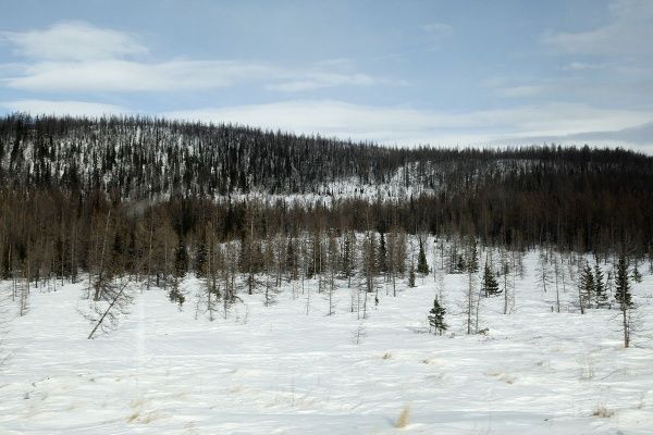 IMG_0469.JPG