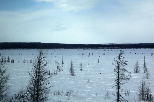 IMG_0391.JPG