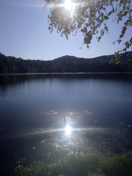 Новости сайта 18.11.25