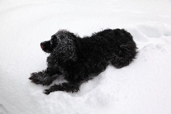 IMG_9643.JPG