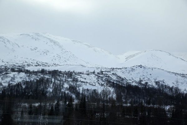 IMG_0490.JPG