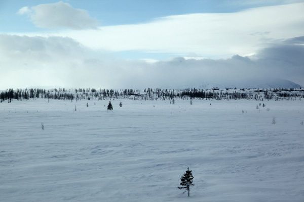 IMG_0382.JPG