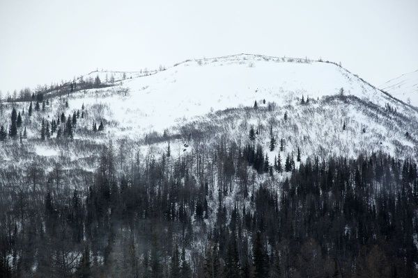 IMG_0486.JPG
