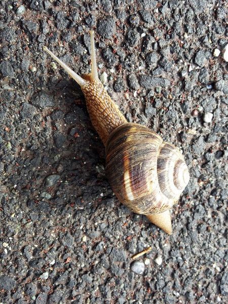 20170503_095920.jpg